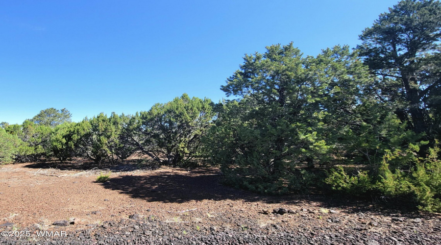 133 & 127 County Road N3314, Vernon, AZ