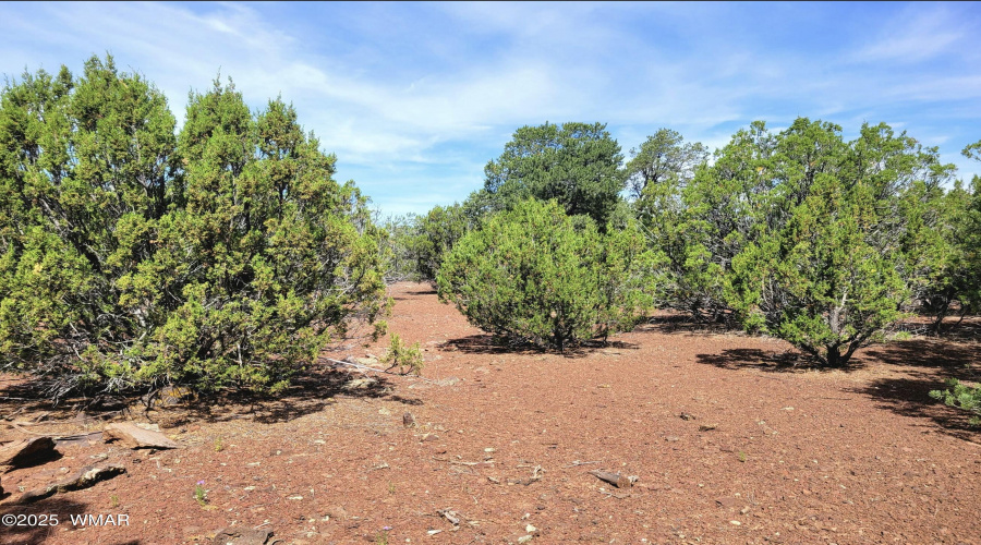 133 & 127 County Road N3314, Vernon, AZ