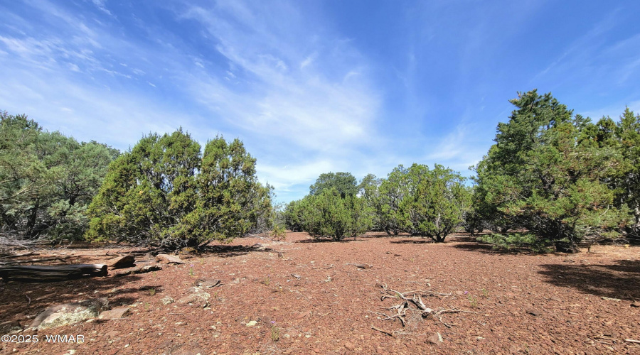 133 & 127 County Road N3314, Vernon, AZ