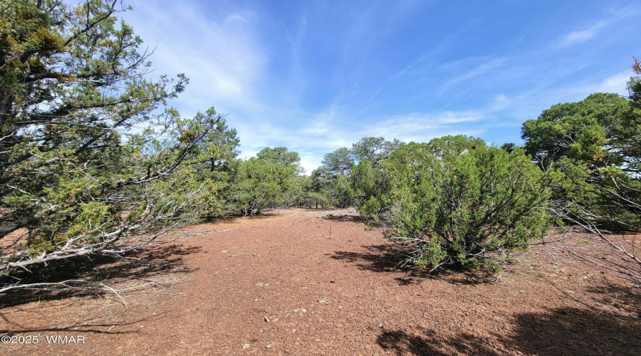 133 & 127 County Road N3314, Vernon, AZ