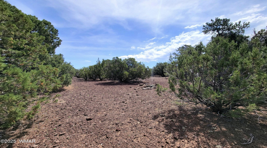 133 & 127 County Road N3314, Vernon, AZ