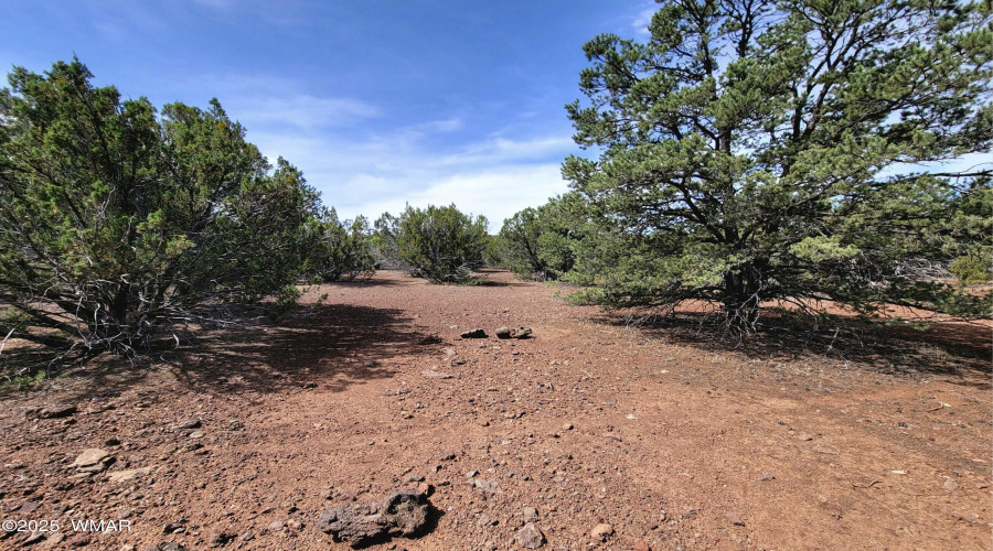 133 & 127 County Road N3314, Vernon, AZ