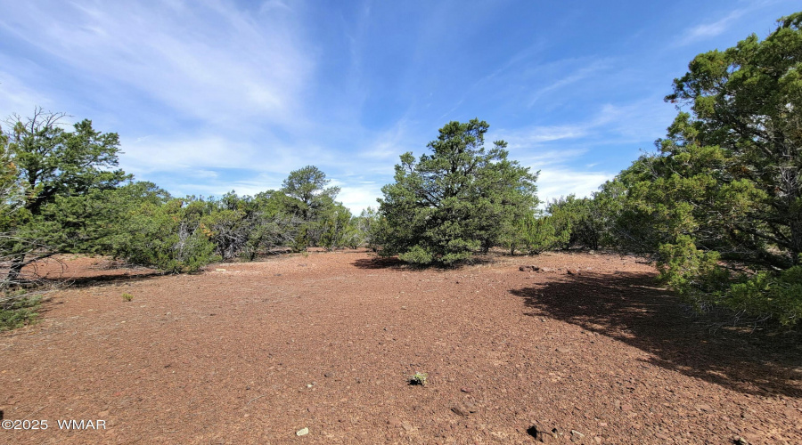 133 & 127 County Road N3314, Vernon, AZ