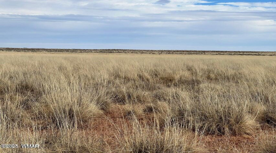 121acre8