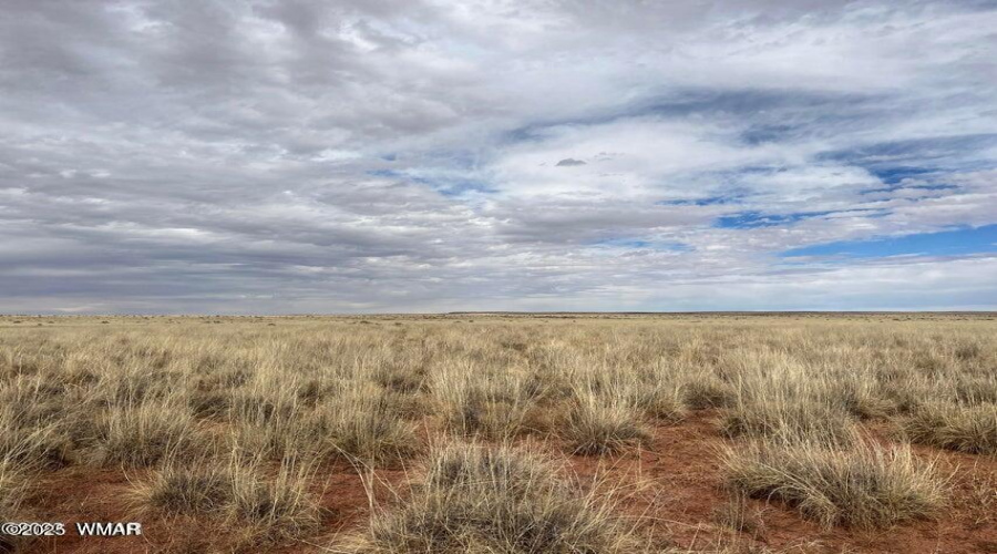 121acre9