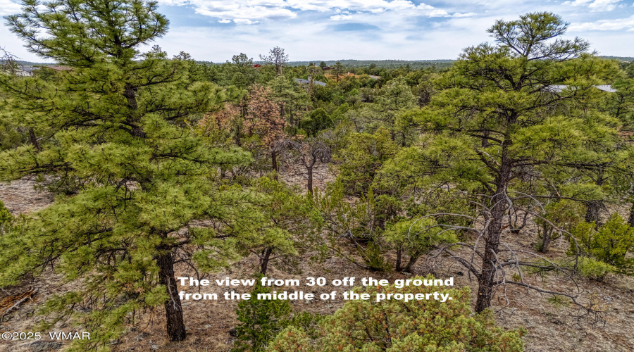 sDJI_20250527124448_0519_D_AuroraHDR2019