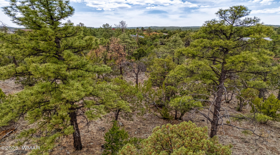 DJI_20250527124448_0519_D_AuroraHDR2019-