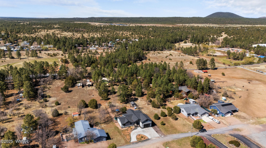 small neighborhood/ private back