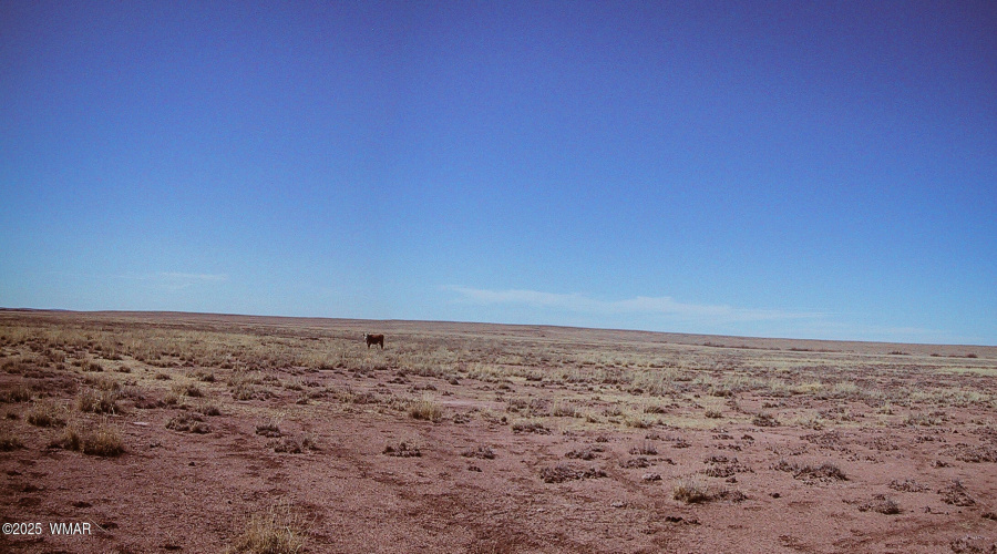 LOT_277_RIVER_MEADOWS_RANCH_AZ_16