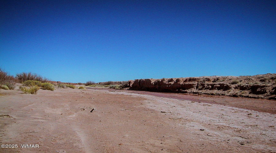 LOT_277_RIVER_MEADOWS_RANCH_AZ_06