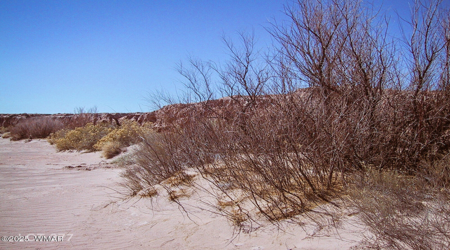 LOT_277_RIVER_MEADOWS_RANCH_AZ_08