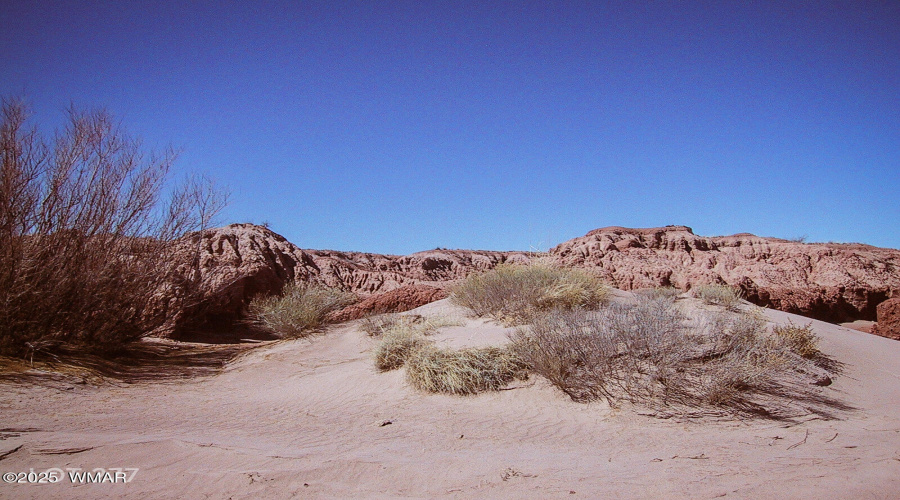 LOT_277_RIVER_MEADOWS_RANCH_AZ_11