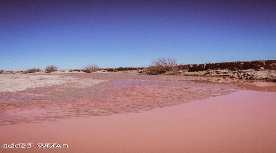 LOT_277_RIVER_MEADOWS_RANCH_AZ_13