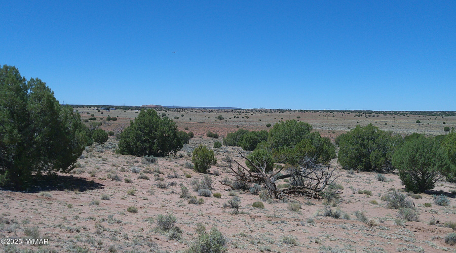 DSCF0036