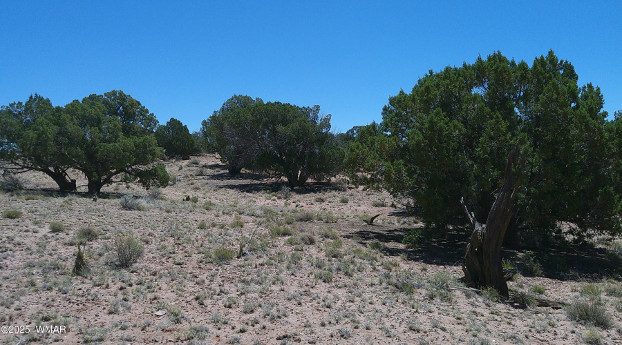 DSCF0037