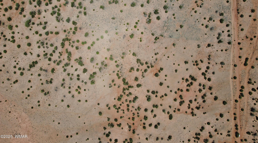 DJI_0095