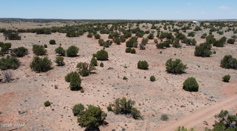 DJI_0096