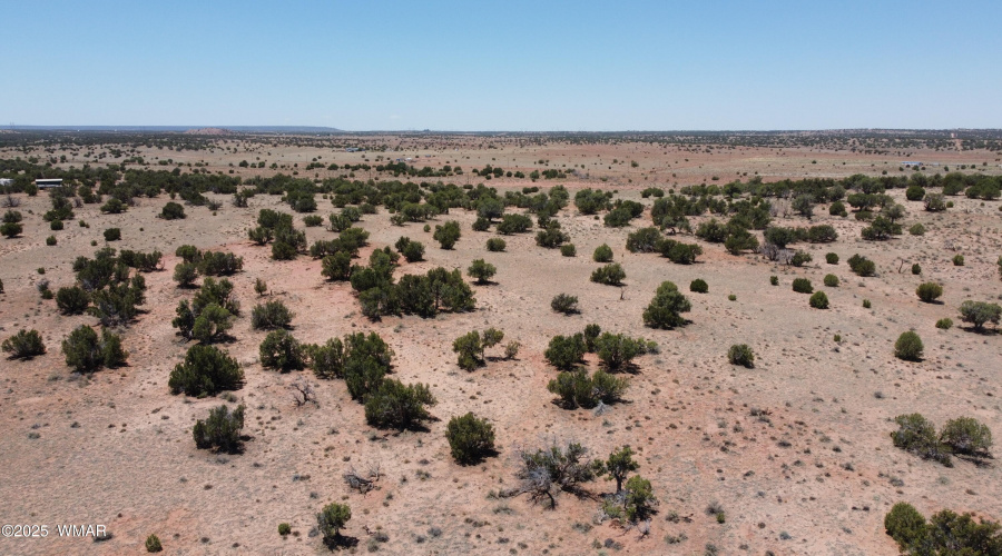 DJI_0099