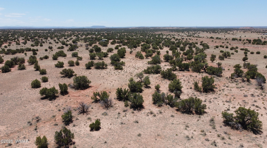 DJI_0102