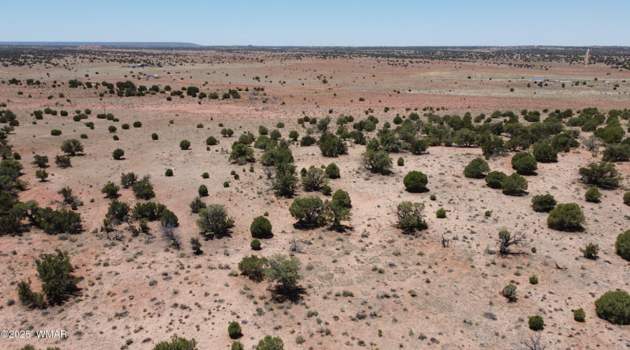 DJI_0103