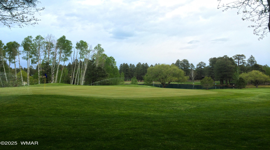 2695 Ponderosa Circle #83, Pinetop, AZ