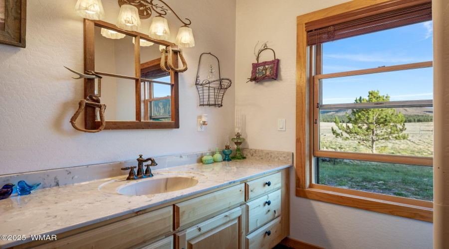 216CountyRd2311-Alpine-AZ-28