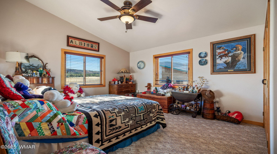 216CountyRd2311-Alpine-AZ-25