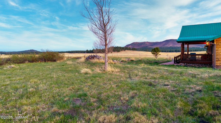 216CountyRd2311-Alpine-AZ-34