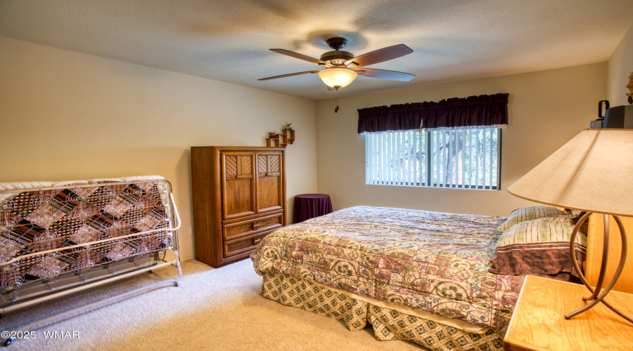 Paxmanphoto_PAX_9798