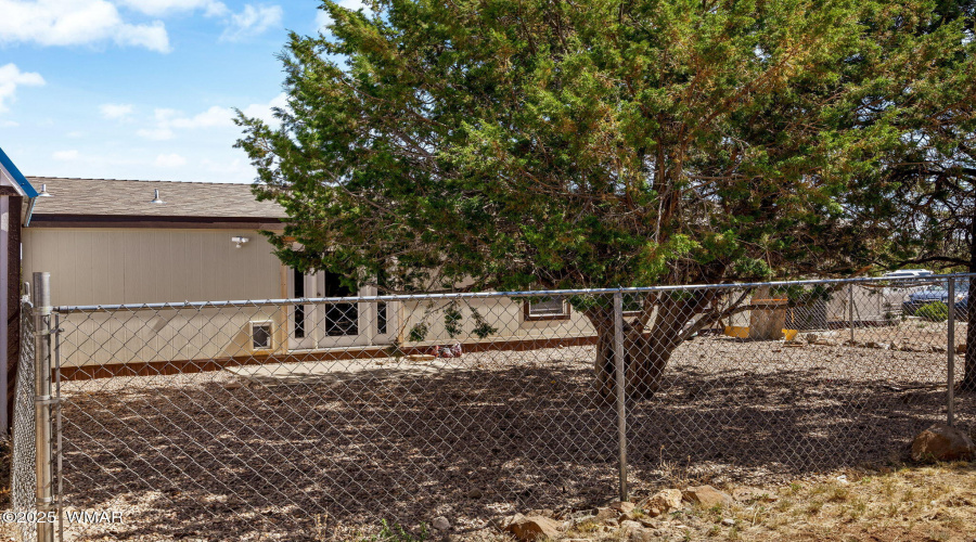Rear View - Dog Run