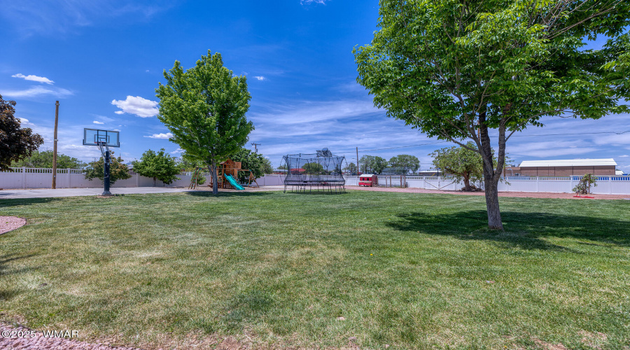 Vast Backyard