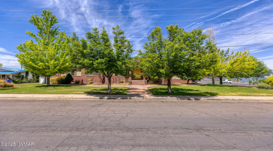 Mature Trees