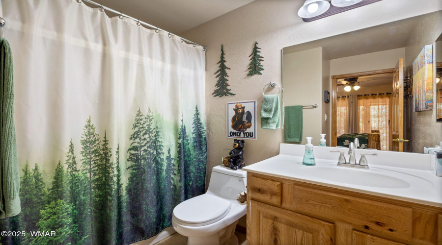 2649PalominoTrail-Overgaard-AZ-14