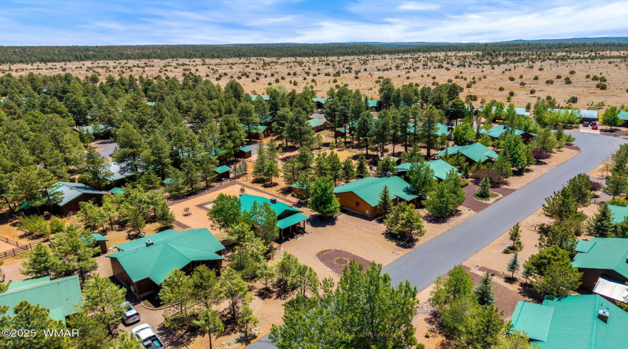 2649PalominoTrail-Overgaard-AZ-26