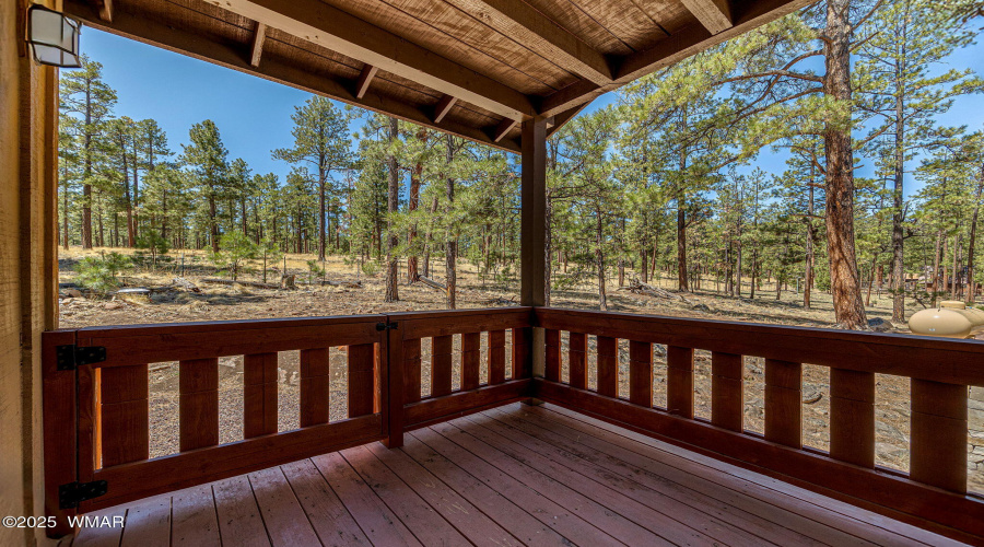 3CountyRoadN1058-Greer-AZ-25