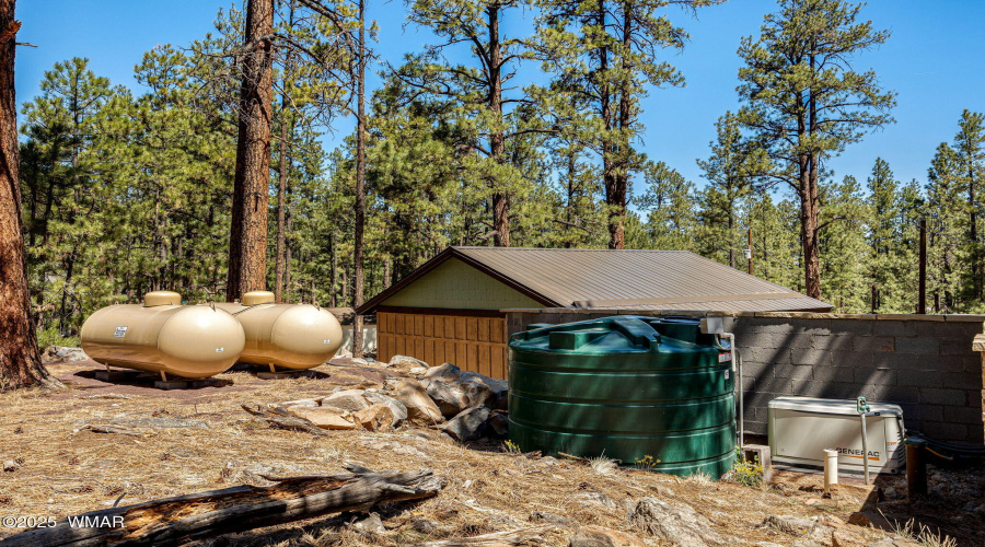 3CountyRoadN1058-Greer-AZ-29