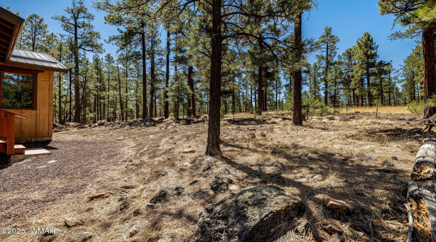 3CountyRoadN1058-Greer-AZ-30