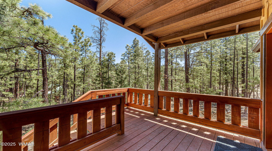 3CountyRoadN1058-Greer-AZ-3