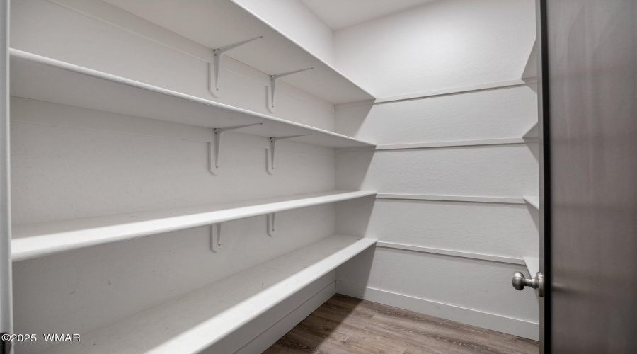 Owners Walk in Closet