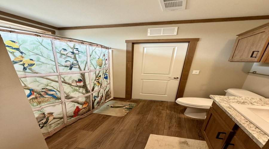 Jack & Jill bathroom 3