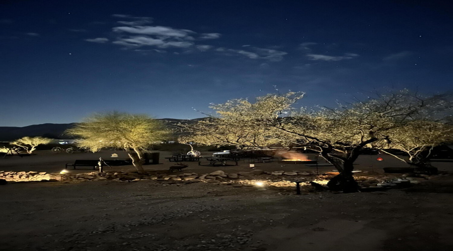 Yard view at night