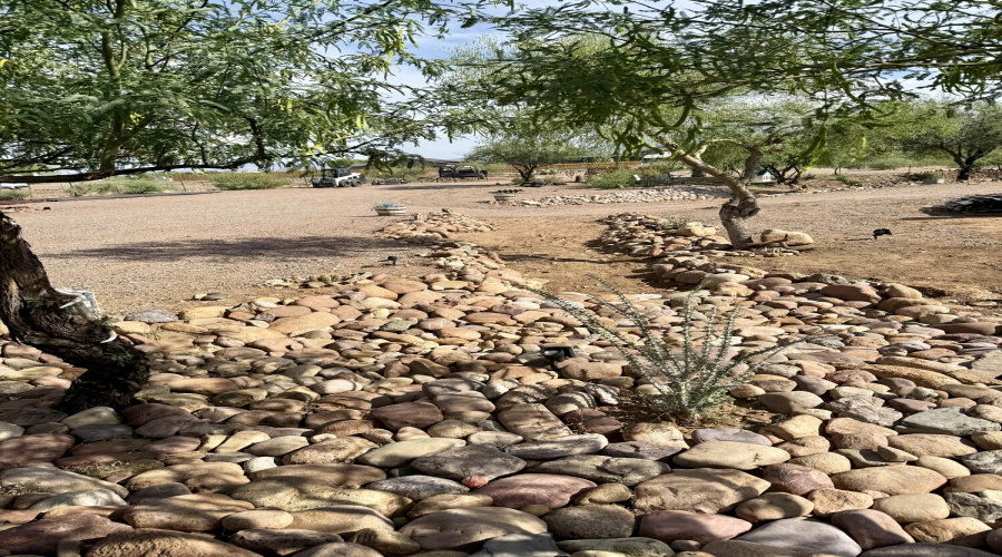Desert landscape