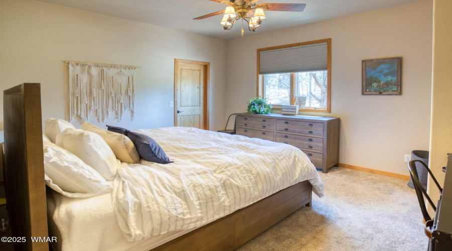 paxmanphoto_PAX_1060