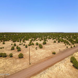 8770SupancheckRd-ShowLow-AZ-1