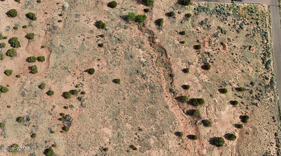 aerial2_20250529