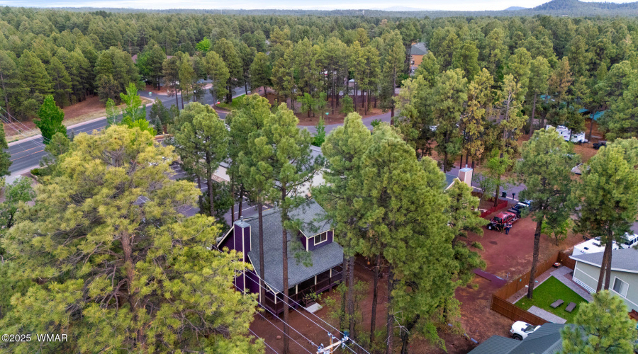 Bird's Eye