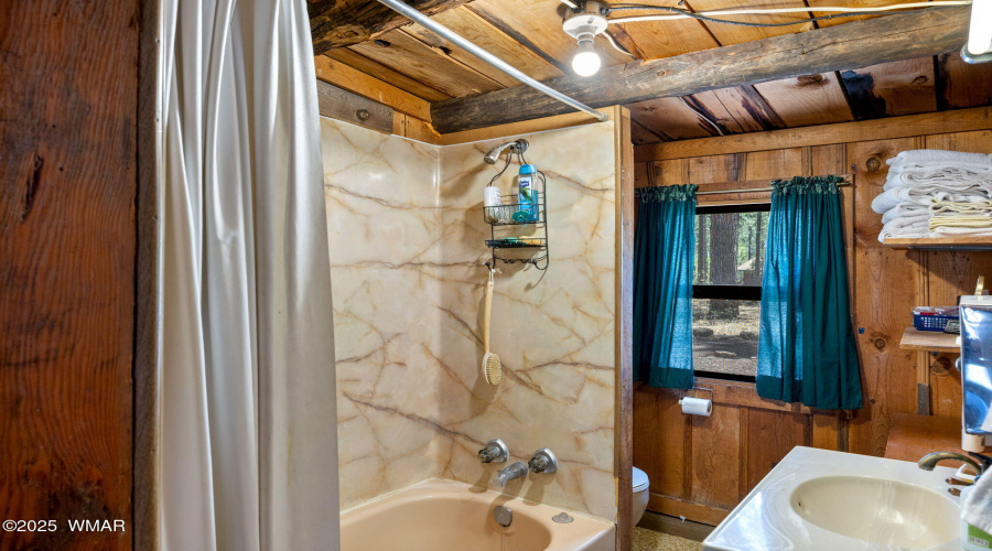 1137WHummingbirdCir-Pinetop-AZ-16