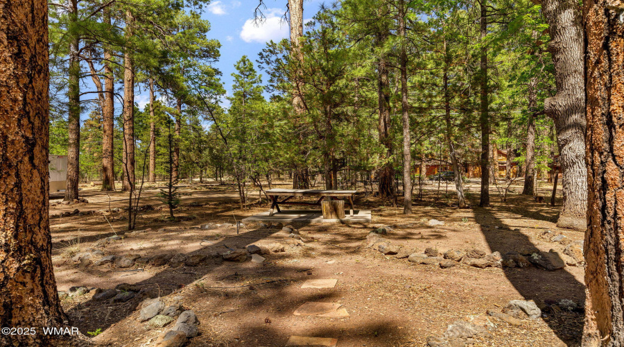 1137WHummingbirdCir-Pinetop-AZ-25