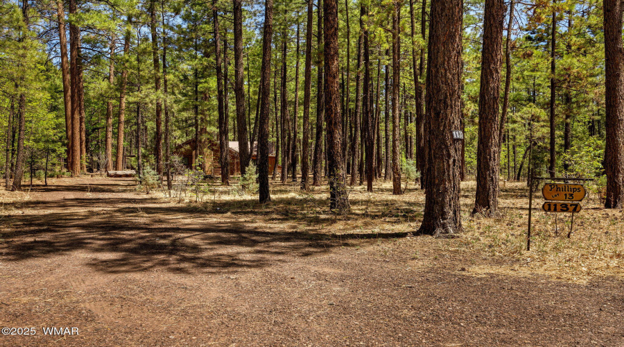 1137WHummingbirdCir-Pinetop-AZ-2