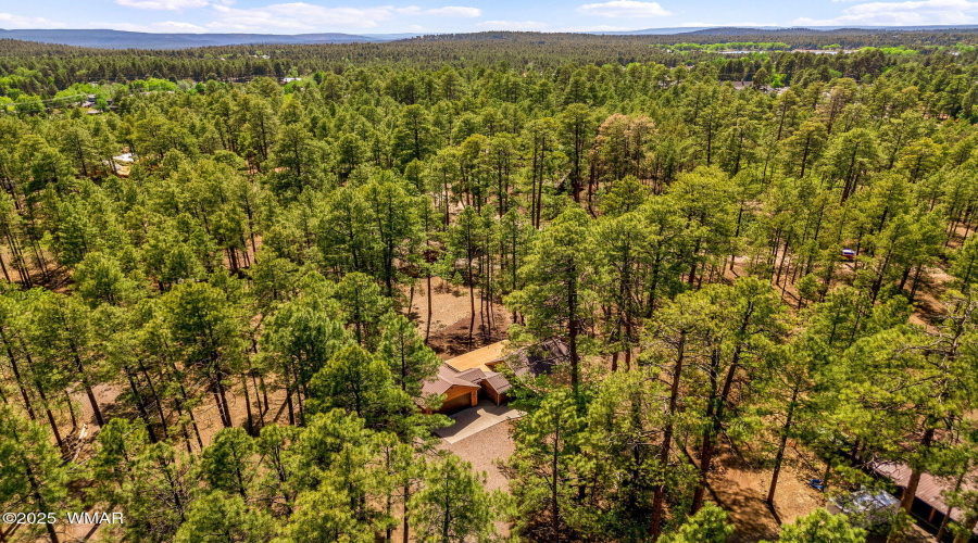 1137WHummingbirdCir-Pinetop-AZ-26